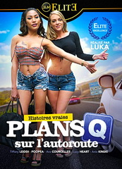 Правдивая история внезапно на шоссе / True stories: Q plans on the highway! (2019)